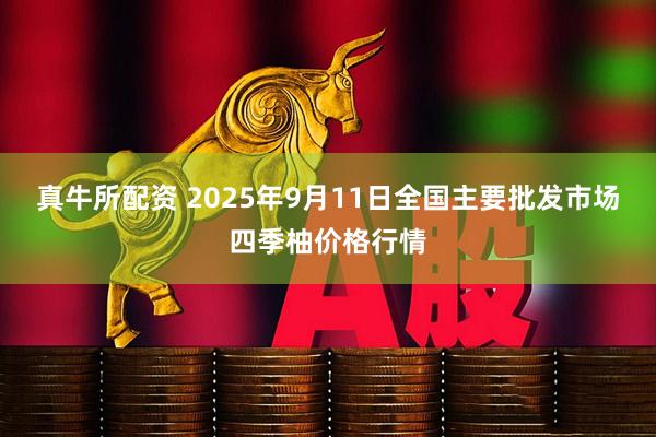真牛所配资 2025年9月11日全国主要批发市场四季柚价格行情