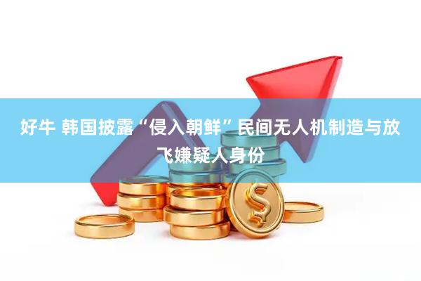 好牛 韩国披露“侵入朝鲜”民间无人机制造与放飞嫌疑人身份