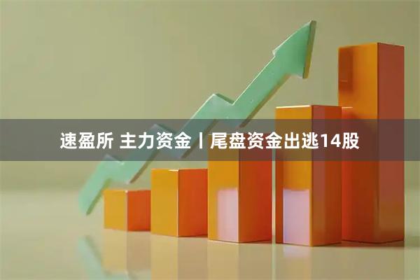 速盈所 主力资金丨尾盘资金出逃14股
