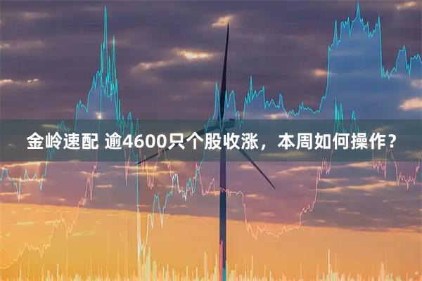 金岭速配 逾4600只个股收涨，本周如何操作？