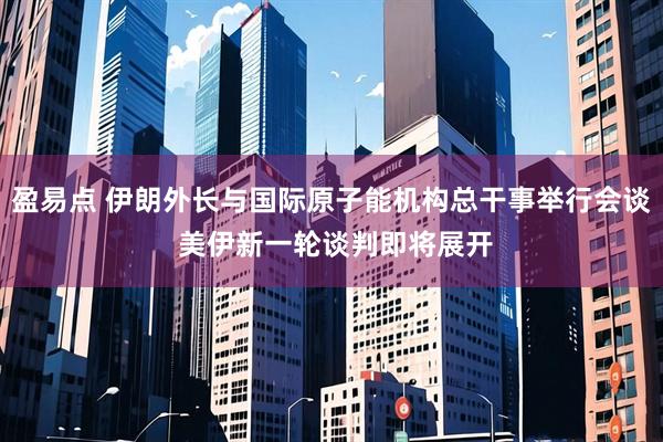 盈易点 伊朗外长与国际原子能机构总干事举行会谈 美伊新一轮谈判即将展开