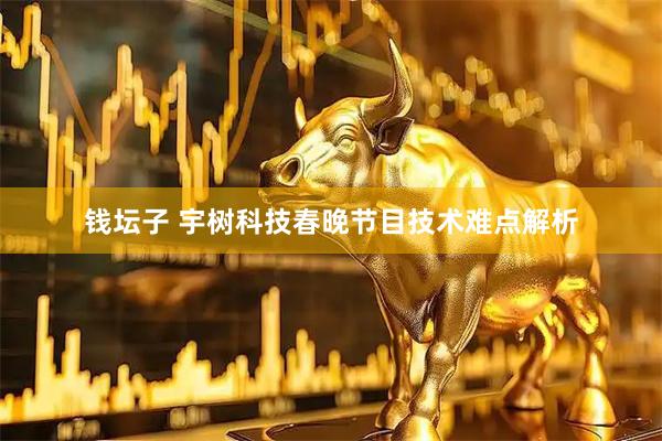 钱坛子 宇树科技春晚节目技术难点解析